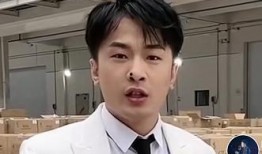 辛巴王海最新爆料,揭秘行业黑幕，揭开真相面纱！